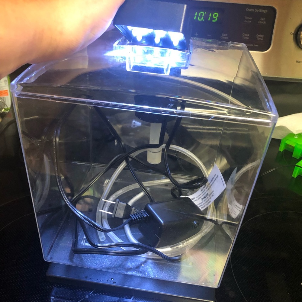 Fish tank - Picture 2 of 5